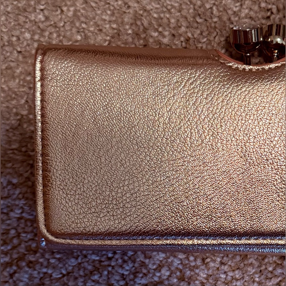 Elegant Metallic Clutch, Prom Ready!!